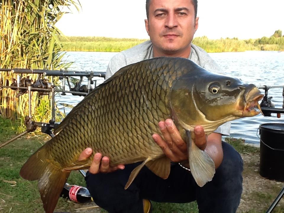 Tancabesti 16.08.2013 - image111.jpg